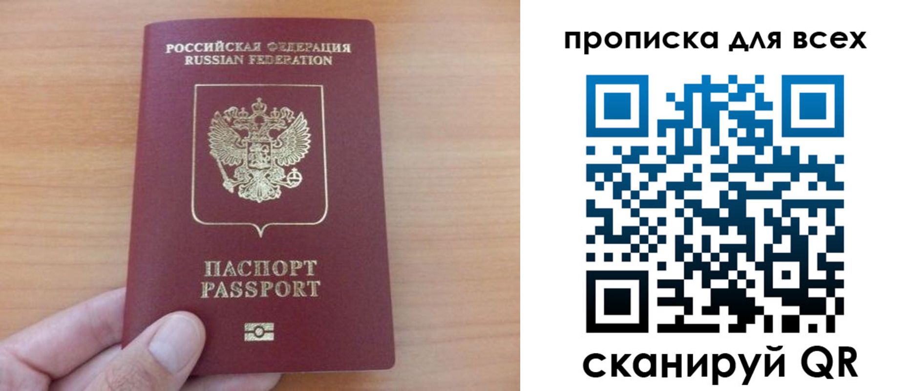 прописка поиск в Щёкино